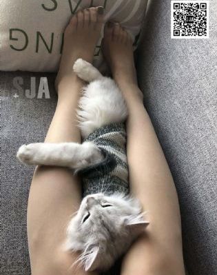 中文字幕在线无码视频_1080在线视频观看